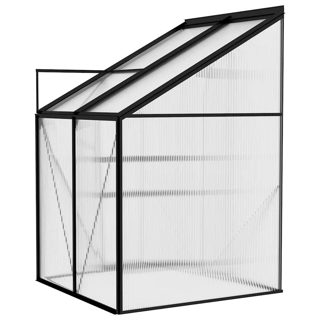 Anthracite Aluminium Frame Greenhouse for Plants