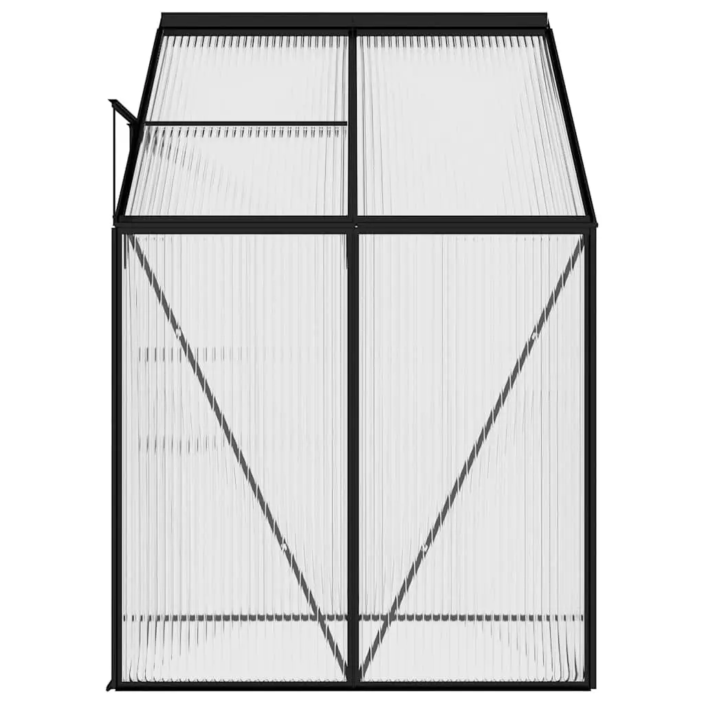 Anthracite Aluminium Frame Greenhouse for Plants