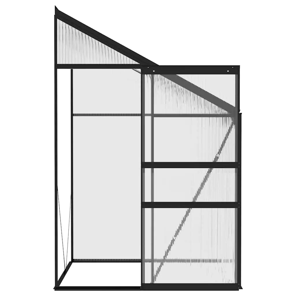 Anthracite Aluminium Frame Greenhouse for Plants