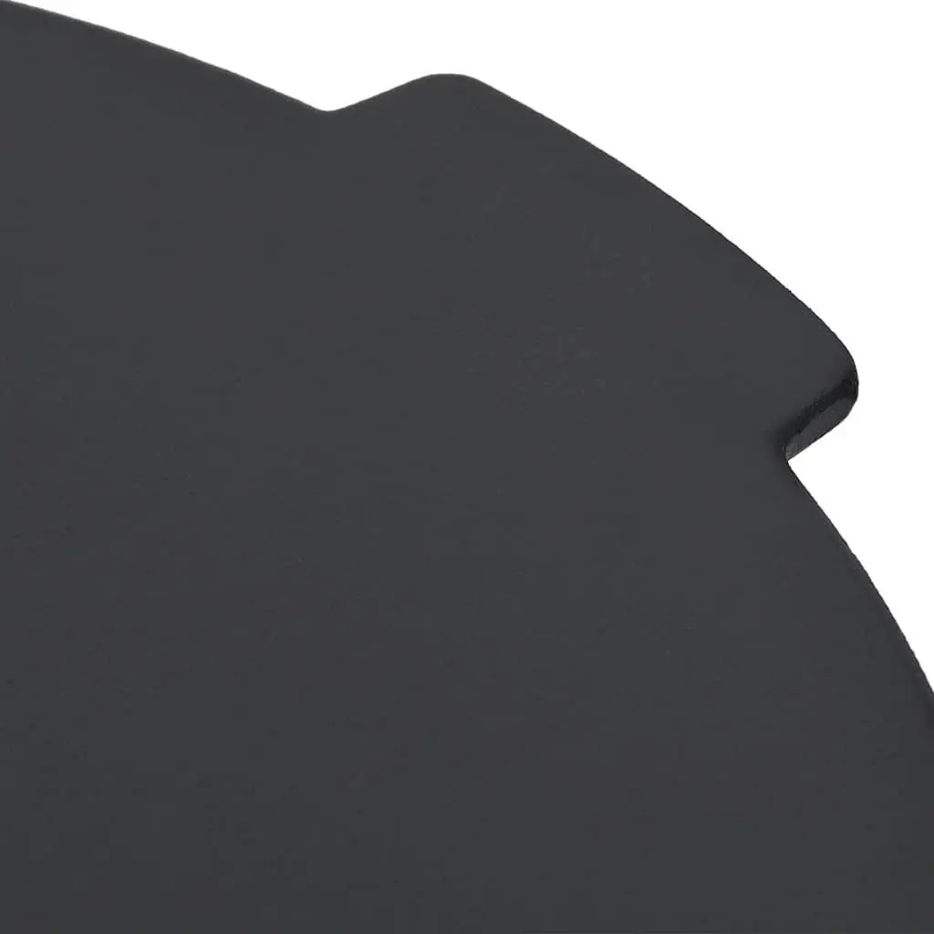Cast Iron Grill Plate 44cm Black Outdoor Cooking Pan