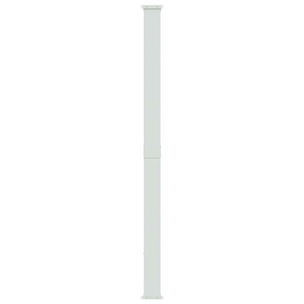 Retractable Side Awning 220x500cm for Outdoors