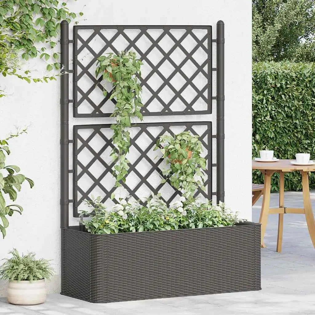 Raised Garden Bed with Integrated Trellis