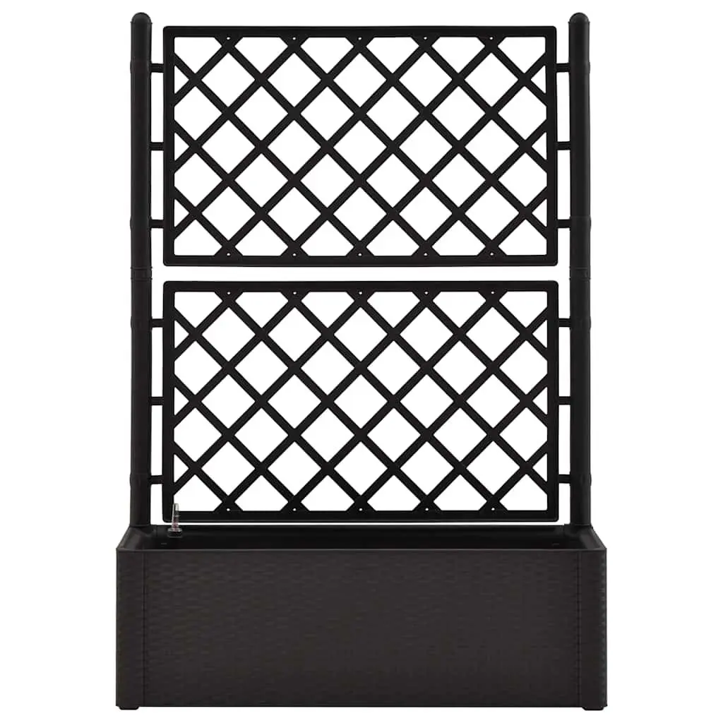 Raised Garden Bed with Integrated Trellis
