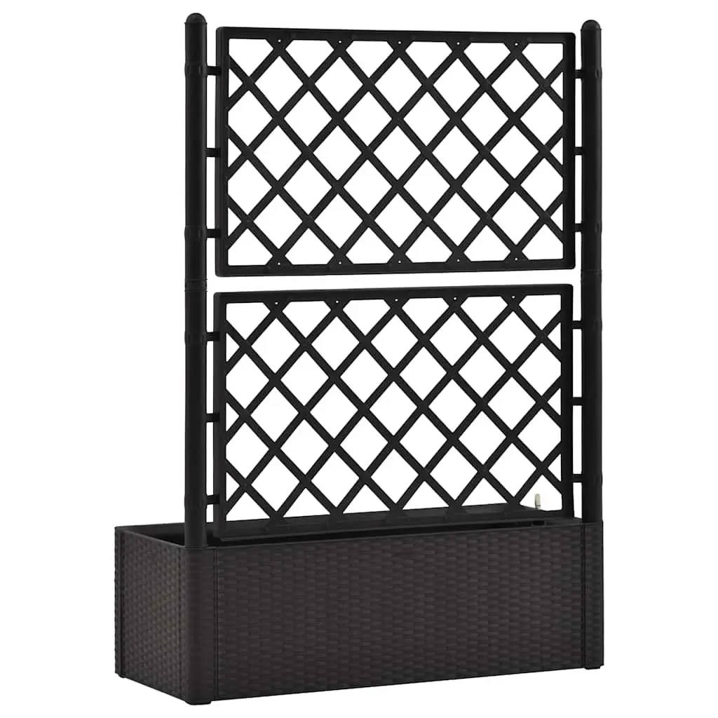 Raised Garden Bed with Integrated Trellis