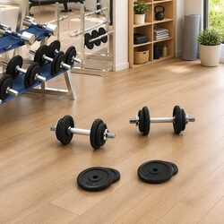 40kg Cast Iron Chrome Dumbbell Set for Strength Training