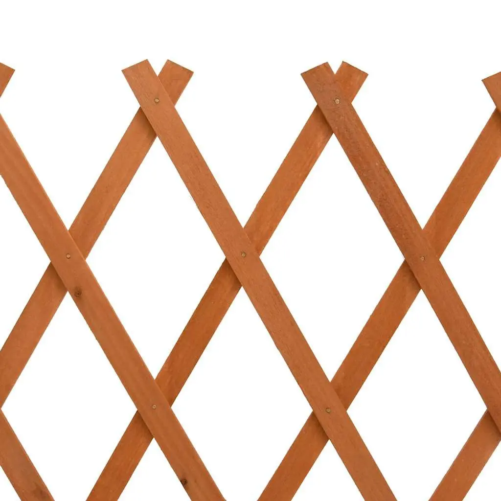 Expandable Wooden Trellis Fence Panel 120x60cm