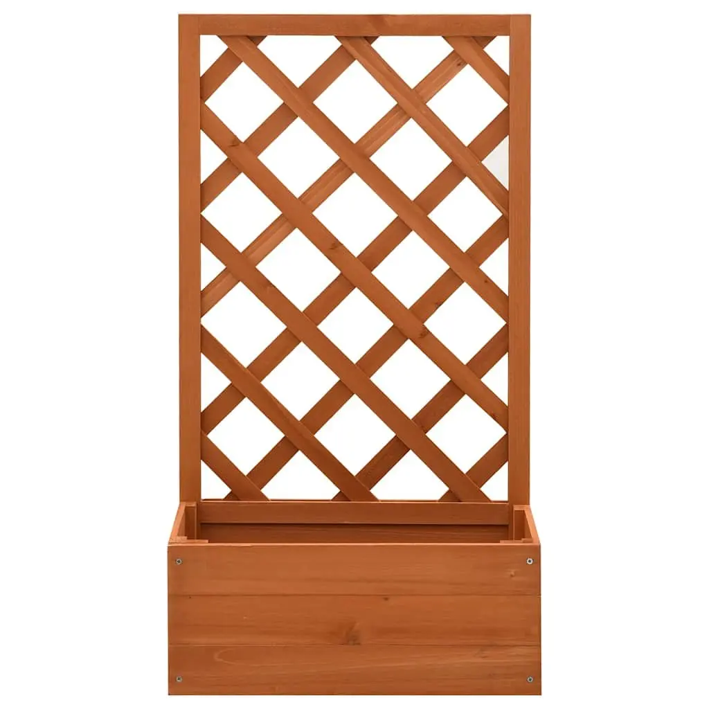 Garden Trellis Planter Solid Firwood 50x25x90 cm Orange