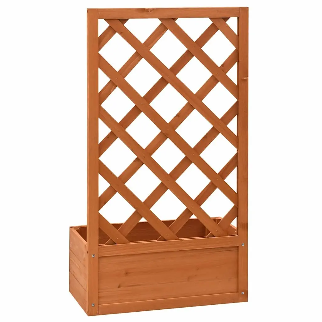 Garden Trellis Planter Solid Firwood 50x25x90 cm Orange