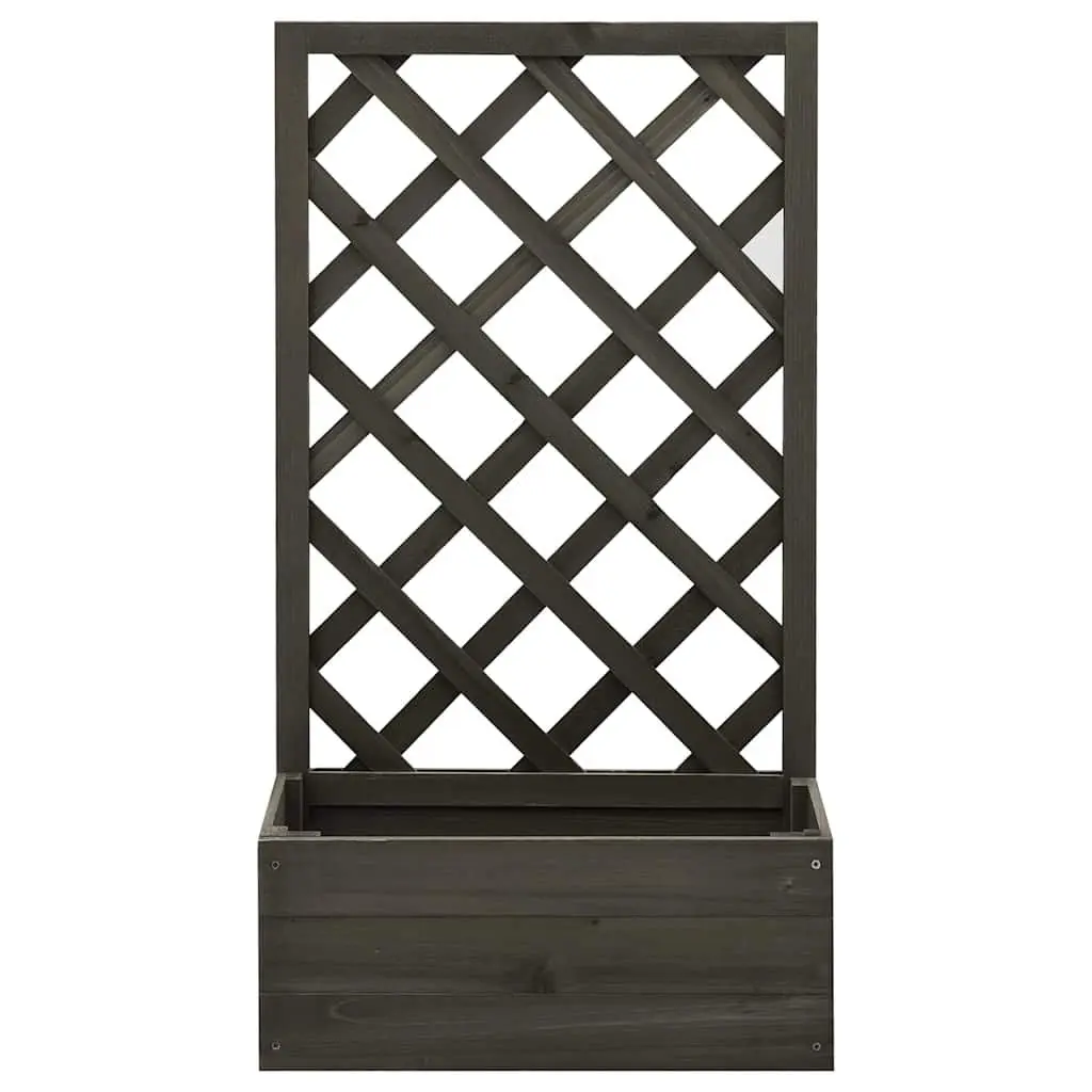 Grey Garden Trellis Planter for Climbing Plants