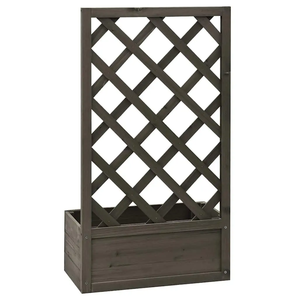 Grey Garden Trellis Planter for Climbing Plants