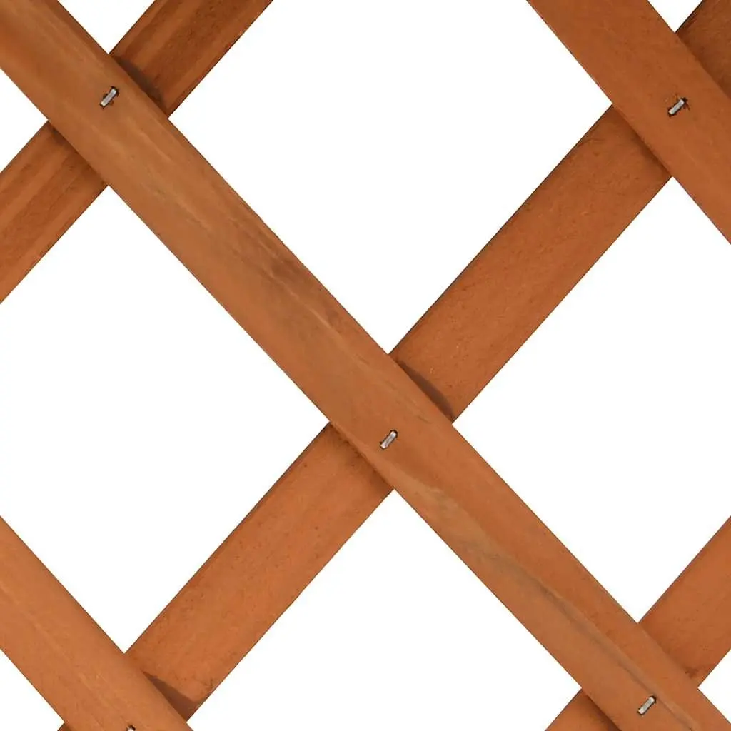 Orange Garden Trellis Planter for Climbing Plants