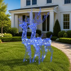 Light Up Your Holidays with 2 Acrylic Reindeer Decorations