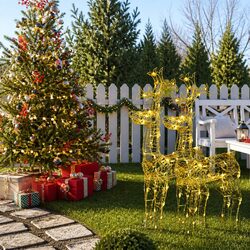 Stunning Warm White LED Reindeer Decorations - 2 Pcs