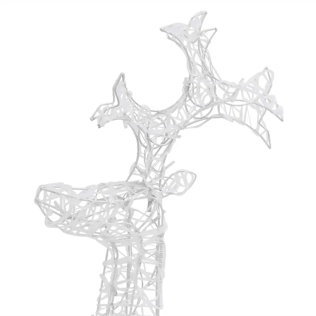 Reindeer Christmas Decorations 2 pcs Acrylic Outdoor Garden Warm White LED