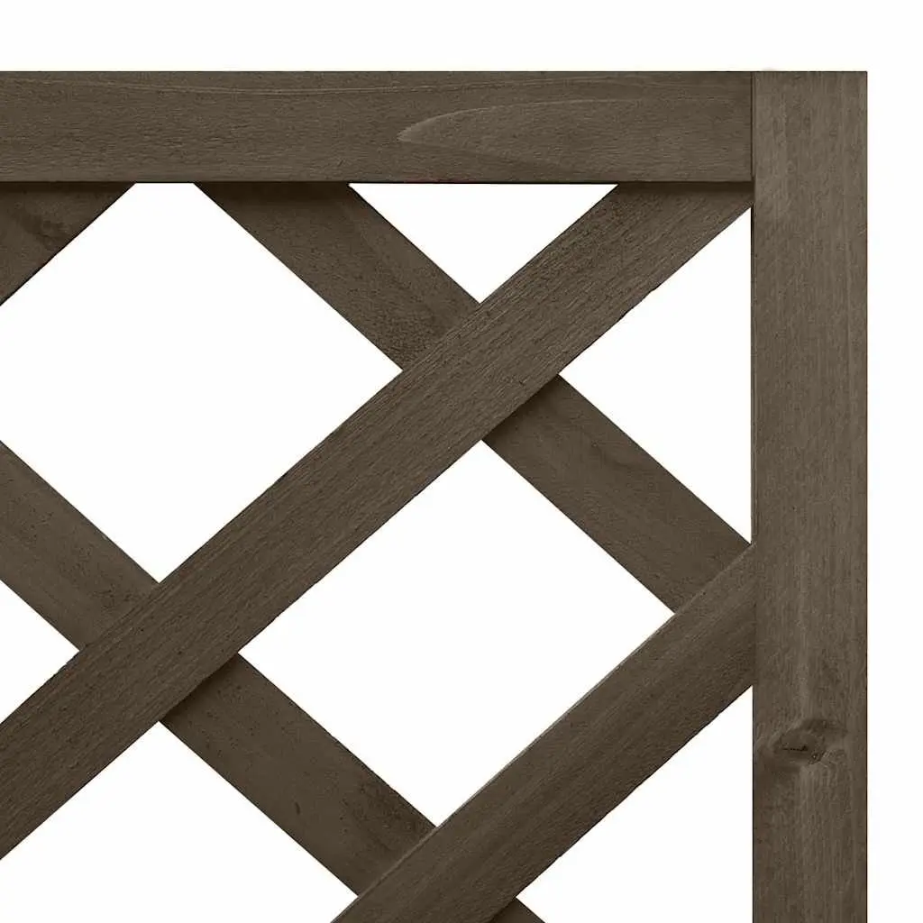 Corner Trellis Planter Box for Climbing Plants