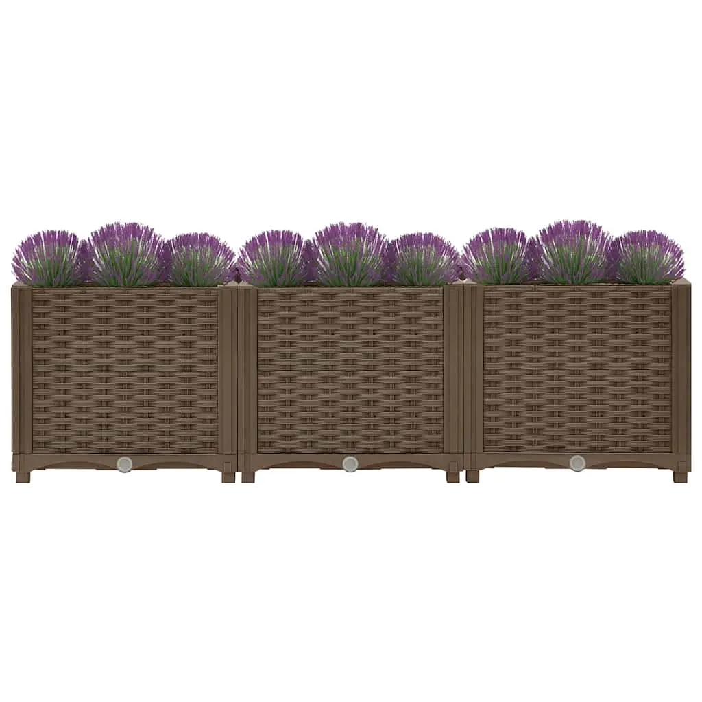 Raised Garden Bed for Vegetables, Herbs & Flowers