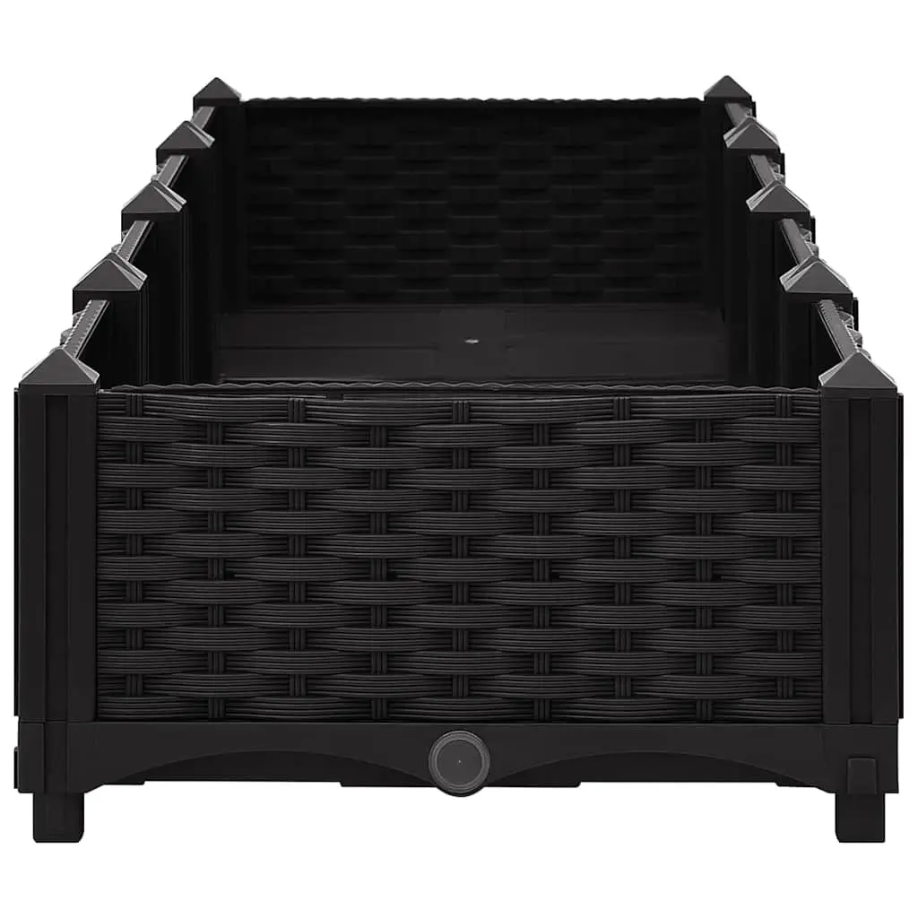 Raised Garden Bed Planter Polypropylene 160 x 40 x 23 cm Black
