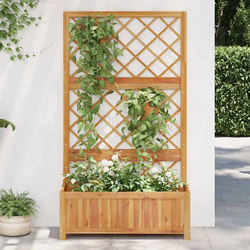 Raised Garden Bed with Integrated Trellis