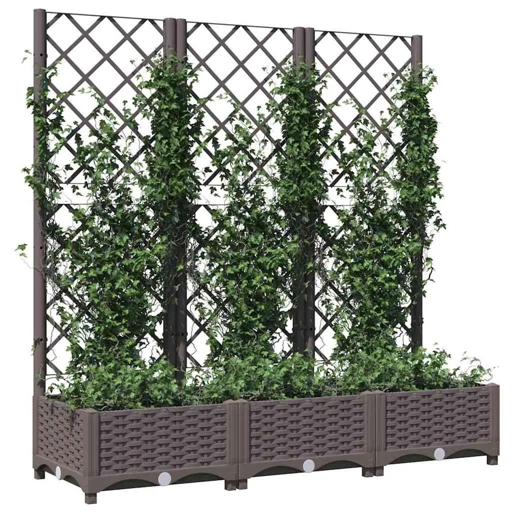 Garden Planter with Trellis for Climbing Plants