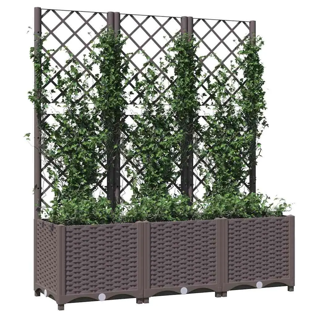 Garden Planter with Integrated Trellis for Climbing Plants