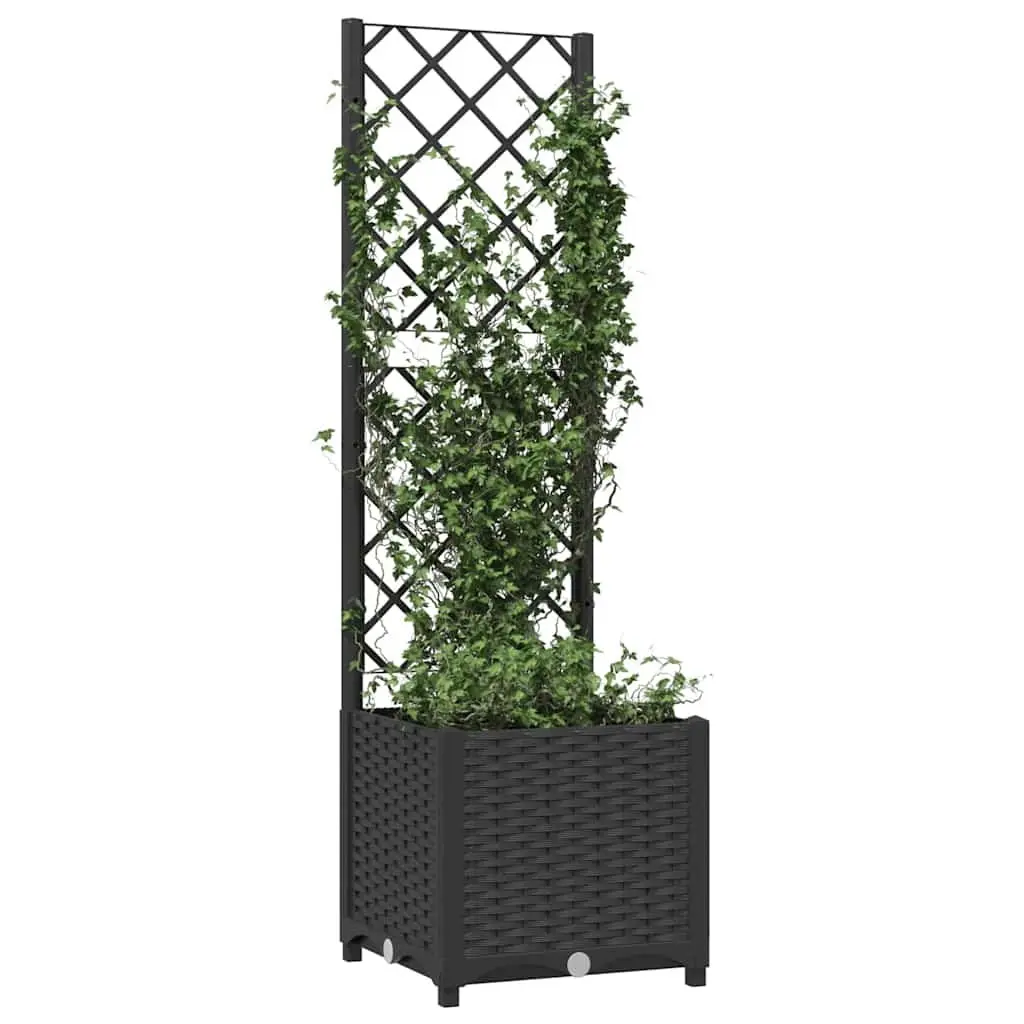 Garden Planter with Black Trellis for Climbing Plants