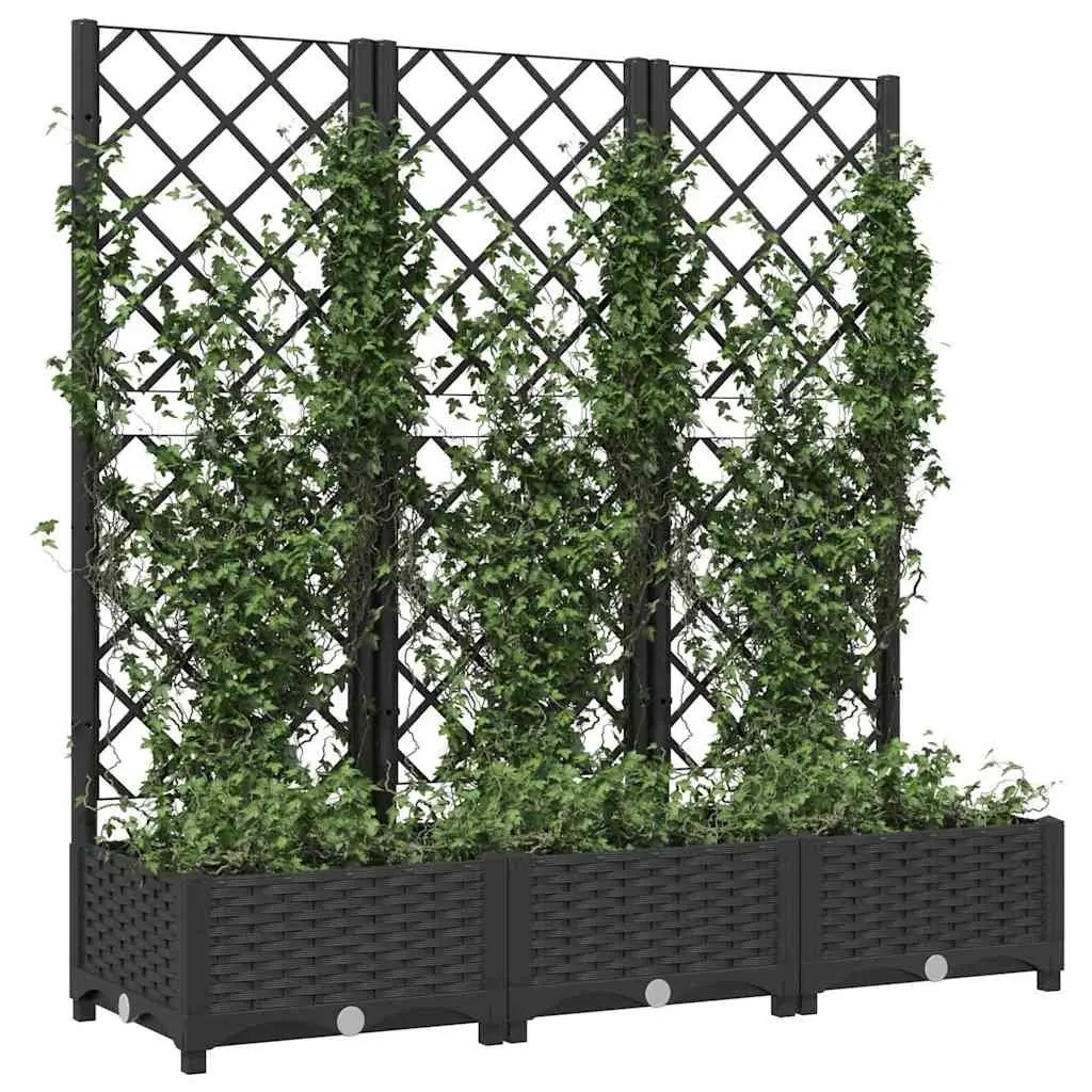 Black Garden Planter with Trellis for Climbing Plants