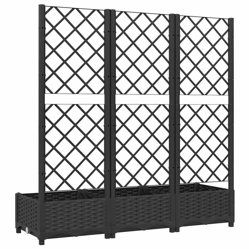 Black Garden Planter with Trellis for Climbing Plants