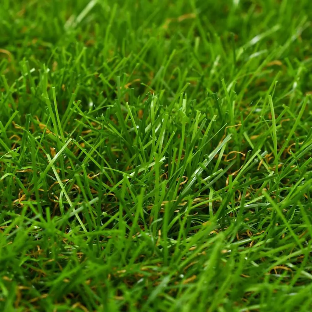 Artificial Grass Mat 1x2 m Green