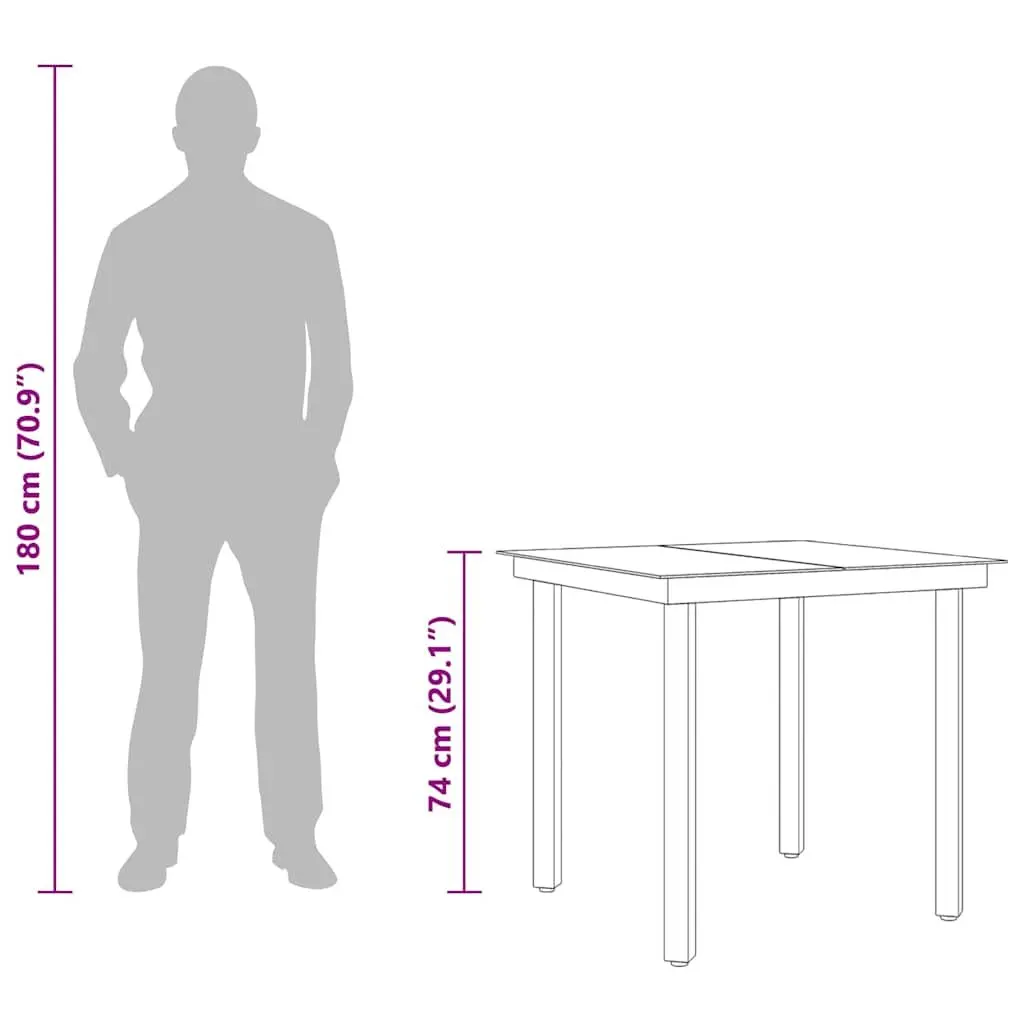 Garden Dining Table Steel Frame Glass Top 80x80x74 cm Black