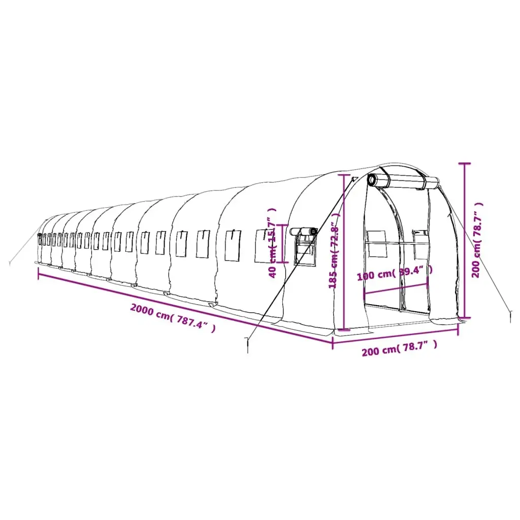 Greenhouse Steel Frame PE Cover 20x2x2m White