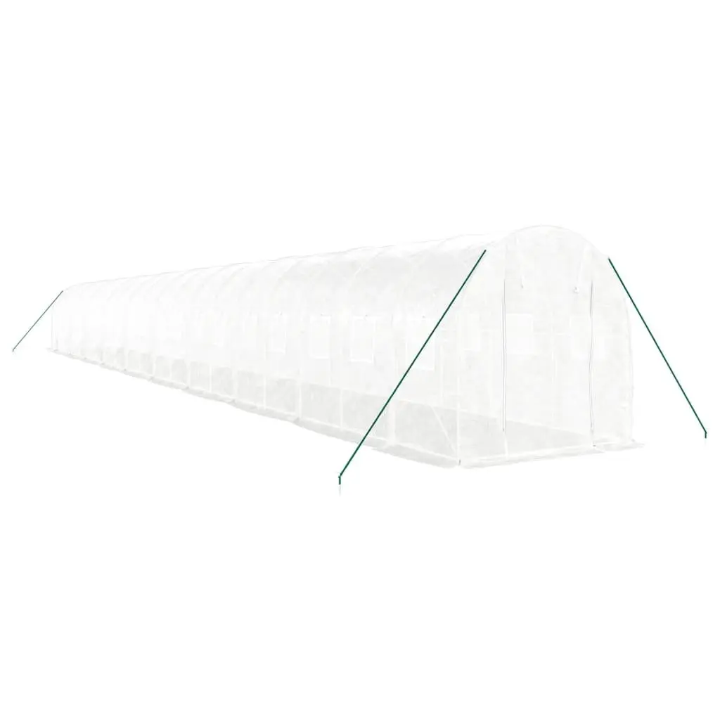 Greenhouse Steel Frame PE Cover 20x2x2m White