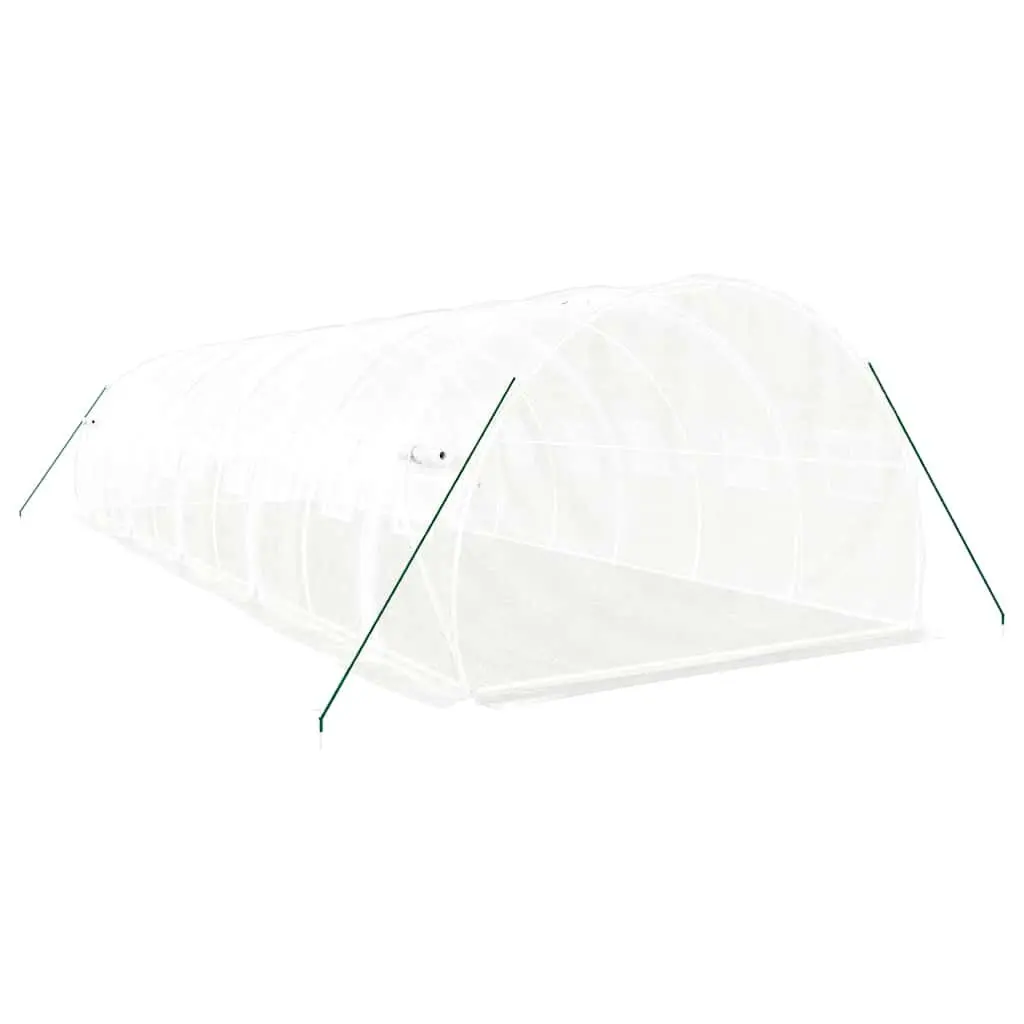 Greenhouse with Steel Frame White 10x3x2m 30sqm
