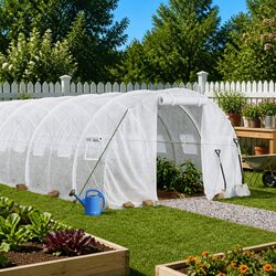 Durable White Greenhouse with Steel Frame 12x3x2m
