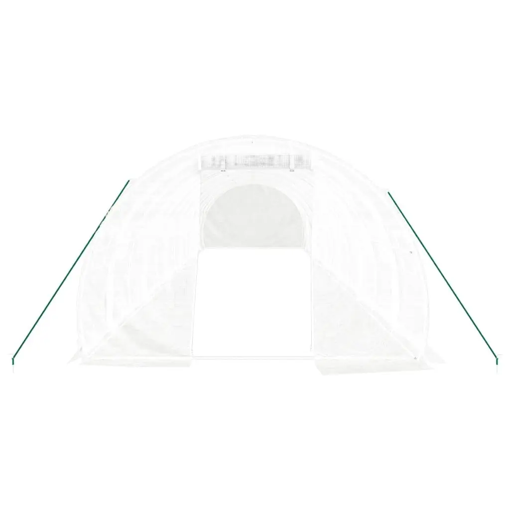 Greenhouse Steel Frame PE Cover 12x3x2m White