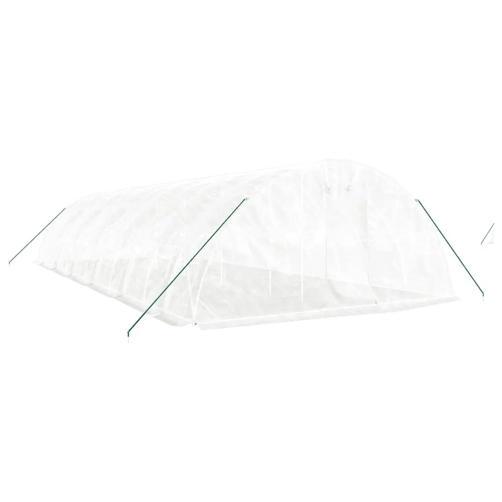 Greenhouse 12x5x2.3m with PE Cover