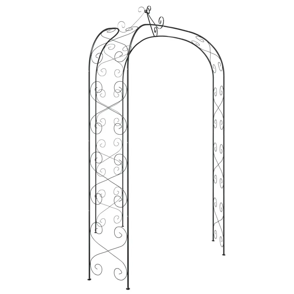 Black Steel Garden Arch for Climbing Plants