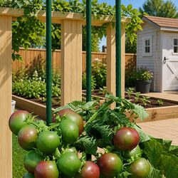 30 Durable Steel Plant Stakes 180 cm for Garden Support