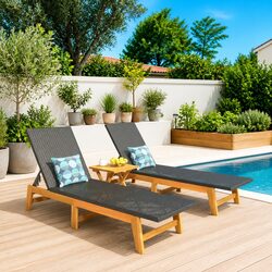 Black Acacia Wood and Rattan Sun Lounger Set