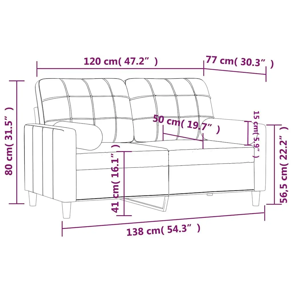 2-Seater Sofa Black 120cm Modern Design Lounge with Throw Pillows Fabric Settee