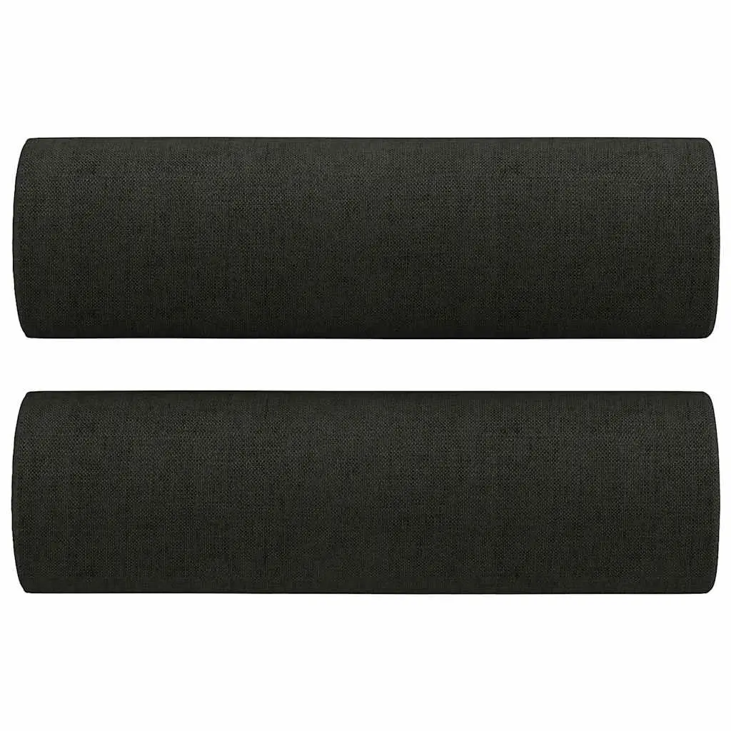 2-Seater Black Sofa with Durable Fabric & Pillows