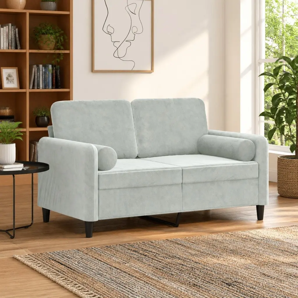2-Seater Sofa in Grey Velvet with Pillows