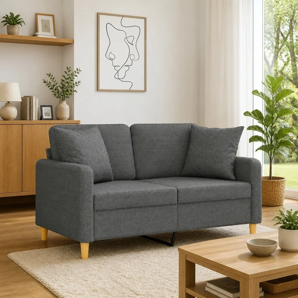 2-Seater Grey Sofa with Throw Pillows