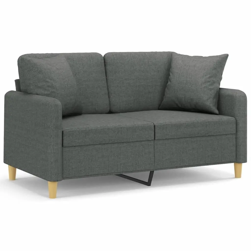 2-Seater Grey Sofa with Throw Pillows