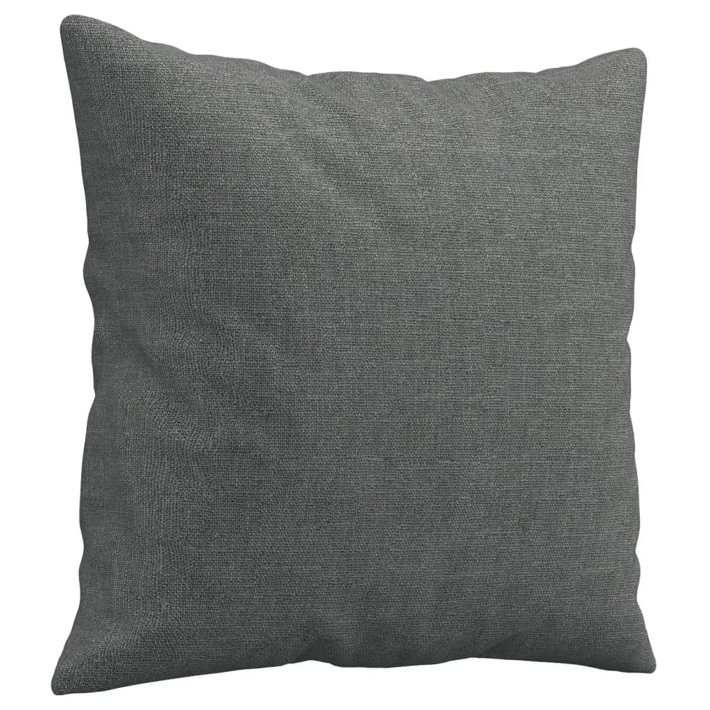 2-Seater Grey Sofa with Throw Pillows
