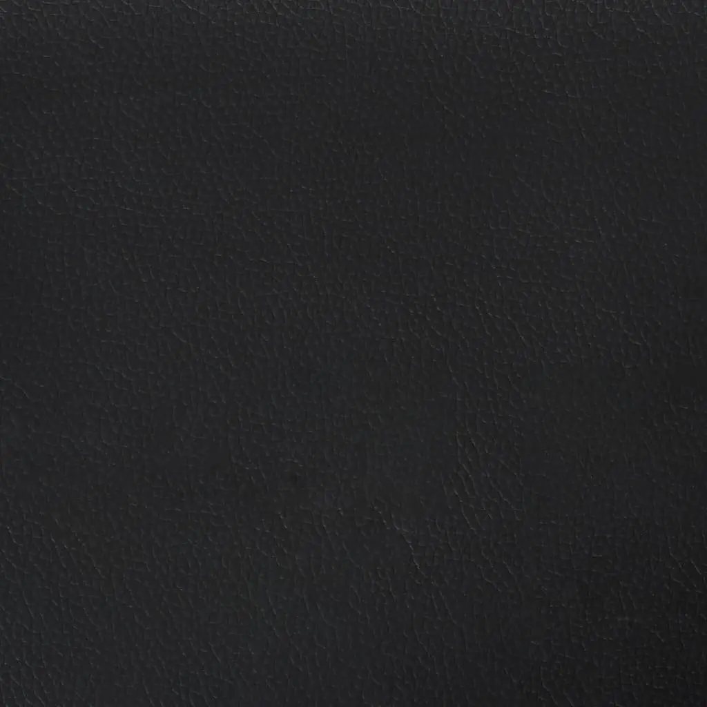 2-Seater Black Sofa with Durable Faux Leather