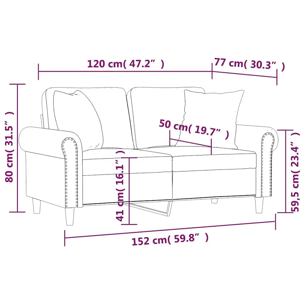 2-Seater Black Velvet Sofa with Plush Pillows
