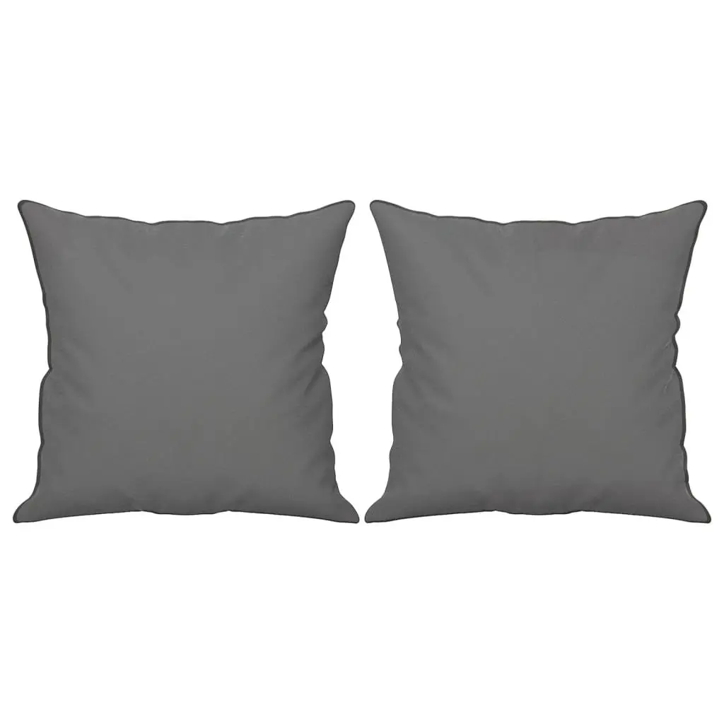 Grey 2-Seater Sofa with Throw Pillows for Comfort