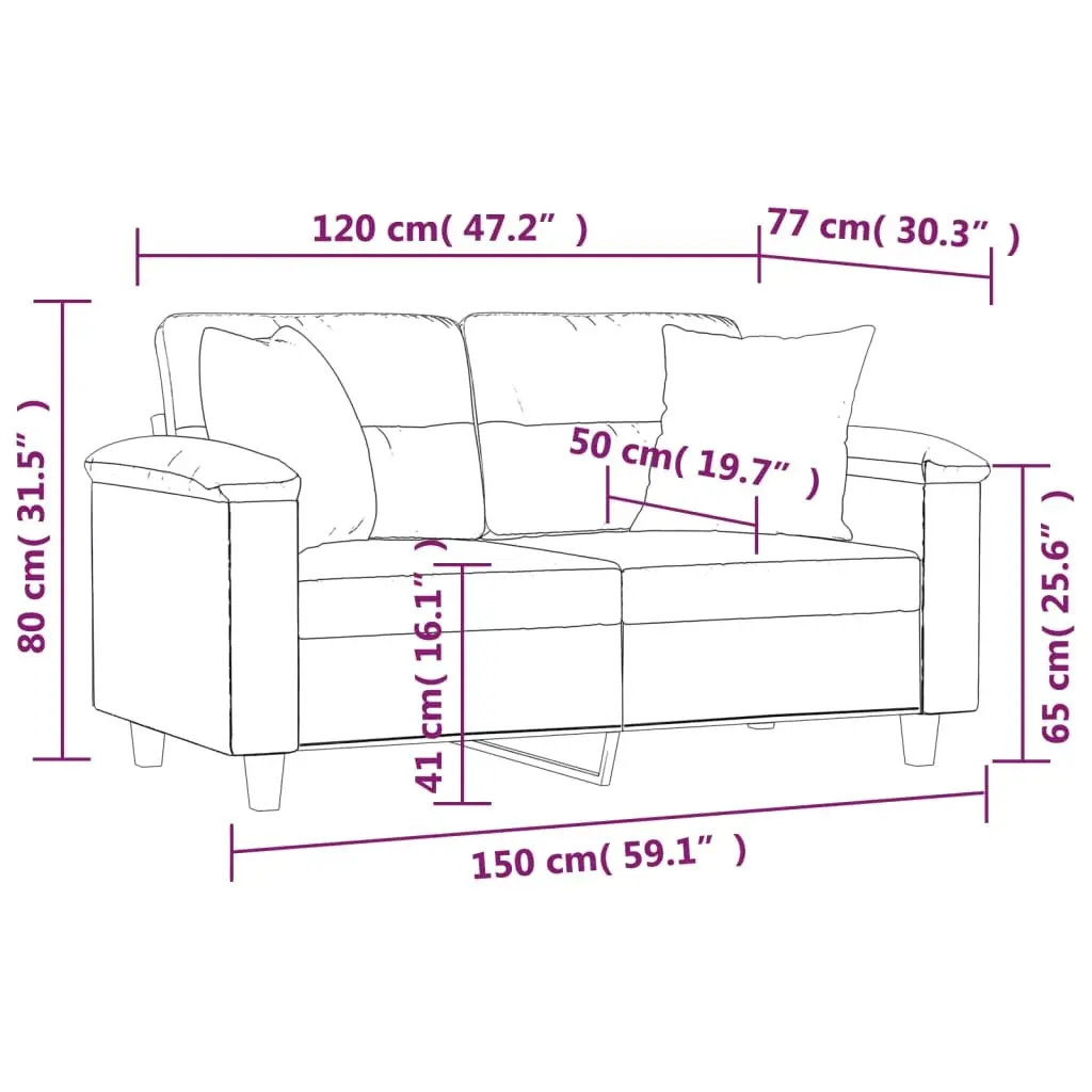 Grey 2-Seater Sofa with Throw Pillows for Comfort