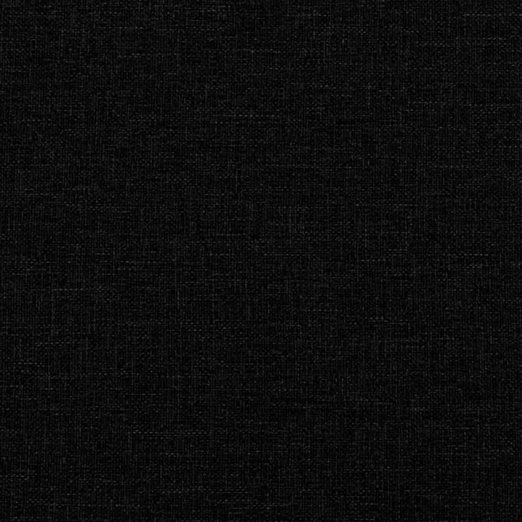 2 Piece Black Fabric Sofa Set for Living Room