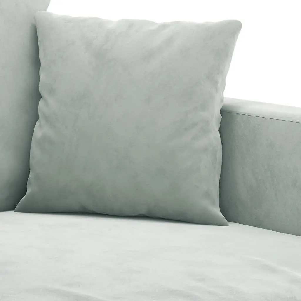 2 Piece Grey Velvet Sofa Set with Cushions